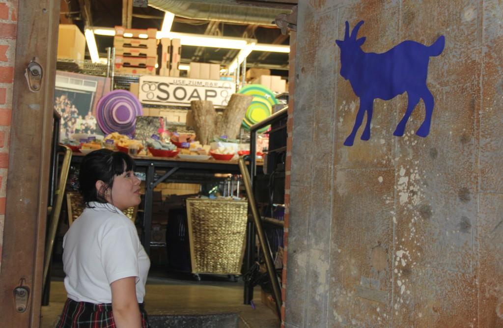 Senior Libby Torres gazes at a goat sticker on a door leading into the Indigo Wild Soap Factory where Zum soap is made.  "There's basically goats on everything," Torres said.  "There's always a goat saying something funny or something on our bars of soap and whatnot."